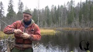 ОХОТА, РЫБАЛКА,БРАКОНЬЕРЫ СТРЕЛЯЛИ ЛОСЯ. МЕДВЕДИ ВЕРНУЛИСЬ.