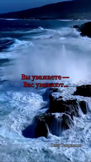 . вы предаёте. вас предают смотреть онлайн
