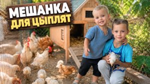 Мешанка для цыплят. Простой рецепт