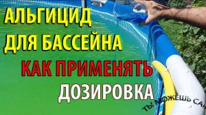Как применять АЛЬГИЦИД для бассейна. Подробная инструкция от А до Я