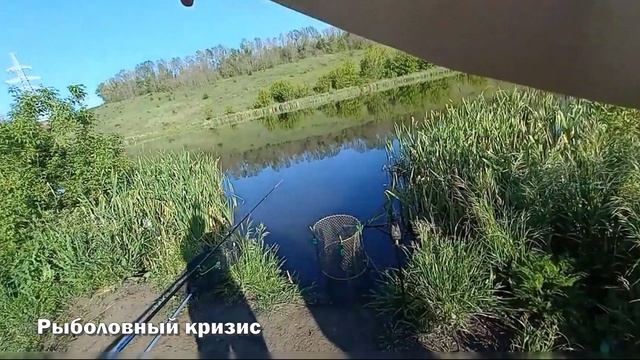 Нашел рыбную глубину и красивое место. Карась оценил и устроил настоящий пир под поплавком смотреть онлайн