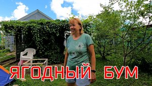 ЯГОДНЫЙ БУМ