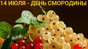 РАСЦВЕЛА СМОРОДИНА В ГОРОДСКОМ САДУ....