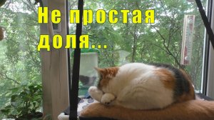 НОВОСТИ ПРО АРТЕМА/ ПОКА В МУРМАНСКЕ ЗАПРАВЛЯЕМСЯ/ 07 /08/ 09 июля 2026