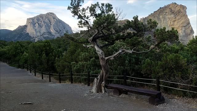 Крым&Crimea