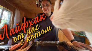 Пока я записываю лайфхак, кот хулиганит😼 Получился вкусный обед 🍜