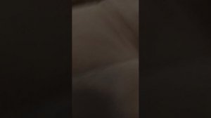 чехольчик