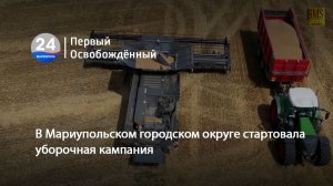 В Мариупольском городском округе стартовала уборочная кампания. 14.07.2026