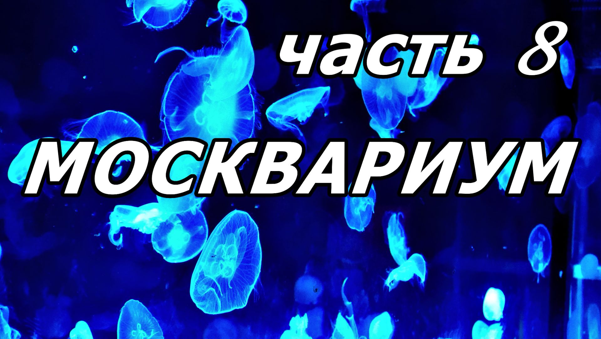 ТАНЦУЮЩИЕ В ТЕМНОТЕ: МАГИЯ МЕДУЗ ИЗ МОСКВАРИУМА. ВИЗУАЛЬНАЯ БЕЗМОЛВНАЯ КРАСОТА, КОТОРАЯ ЛЕЧИТ ДУШУ. смотреть онлайн