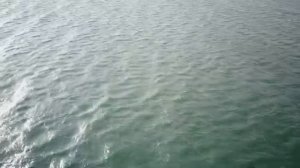 Слушай Каждый День Настрой Сытина от Тревоги и Внутреннего Напряжения