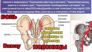 Зажат паховый треугольник, страдают тазобедренные суставы? Освободите нервы крестца и копчика