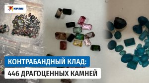 Домодедовские таможенники нашли 446 драгоценных камней у иностранца из Узбекистана