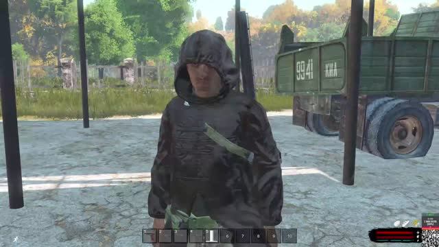 DayZ