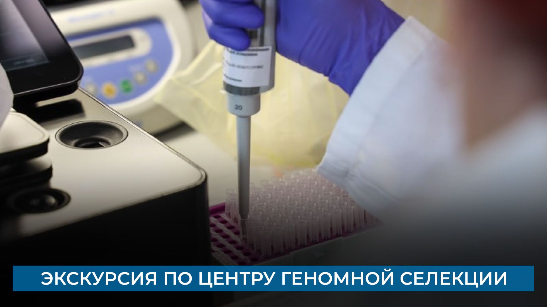 Экскурсия по центру геномной селекции
