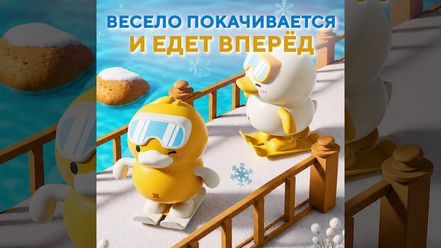 LP202481335 (1)