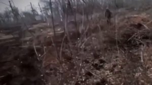 Монолог штурмовика.