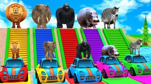 Огромная длинная горка с животными из зоопарка 🐘🦍 - Трехмерный игровой процесс с животными
