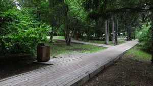 КРАСНОЯРЦЫ СМОГУТ РЕШИТЬ СУДЬБУ БОТАНИЧЕСКОГО БУЛЬВАРА