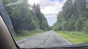 Название Винограда🍇Дочка Приезжала, Насажала Ещё Деревьев. Моя Жизнь в Деревне😍14-07-2026