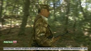 Минприроды выявило 16 нарушений при подаче экологической отчётности