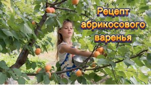 Рецепт вкусного абрикосового варенья