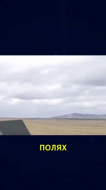Урожая не будет