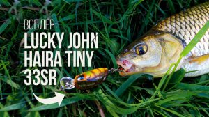 Воблер Lucky John Haira Tiny 33SR поймал всё! Окунь, щука, голавль и даже пескарь на один кренк!