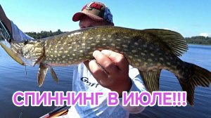 ЩУКА на спиннинг в июле!