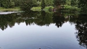 Тёплый июльский розовый вечер в санатории Митино Кировской области 2026 г