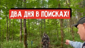 ДВА ДНЯ В ПОИСКАХ!