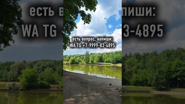 Особенные детки