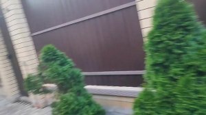Кобель🤬 сидел одной рукой обнимал жену, второй номер сувал другой. Делюсь впечатлениями. Урожая нет
