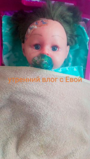 утренний влог с Евой