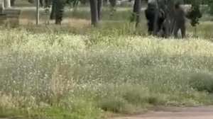 Днепропетровск, очередная жертва попалась фашисткой мрази