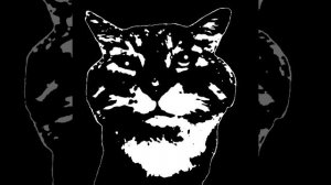 Жуткие лица Кота Носка (шаблон)