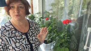 Болталка на балконе//Душистое смородиновое  варенье//Рецепт «6СТАКАНОВ»