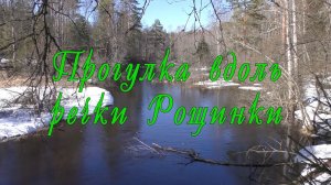 Прогулка вдоль Рощинки