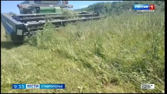 «Вести. Ставропольский край» 14.07.2026 (9.30) смотреть онлайн