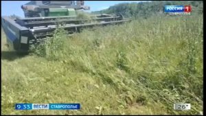 «Вести. Ставропольский край» 14.07.2026 (9.30)