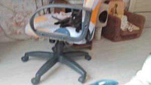 Капитан коробля
