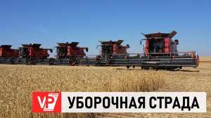 ЗА 2 НЕДЕЛИ ВОЛГОГРАДСКИЕ АГРАРИИ СОБРАЛИ 1,5 МЛН ТОНН ВЫСОКОКАЧЕСТВЕННОГО ЗЕРНА