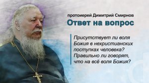 Присутствует ли воля Божия в нехристианских поступках человека? Правда ли, что на всё воля Божия?