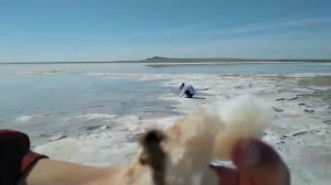 Баскунчак 2026