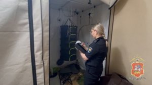 Задержан наркоделец, который выращивал коноплю в арендованной квартире в подмосковном Королёве