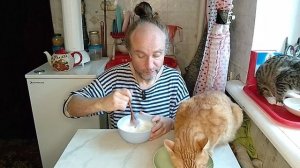 Завтрак с котями. Хочешь сделать хорошо: сделай это сам. Мукбанг. Обжор. Еда на камеру. Диета. Шиза.