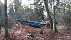 Ночёвка вдали от дома в гамаке