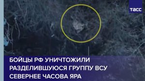 Бойцы РФ уничтожили разделившуюся группу ВСУ севернее Часова Яра
