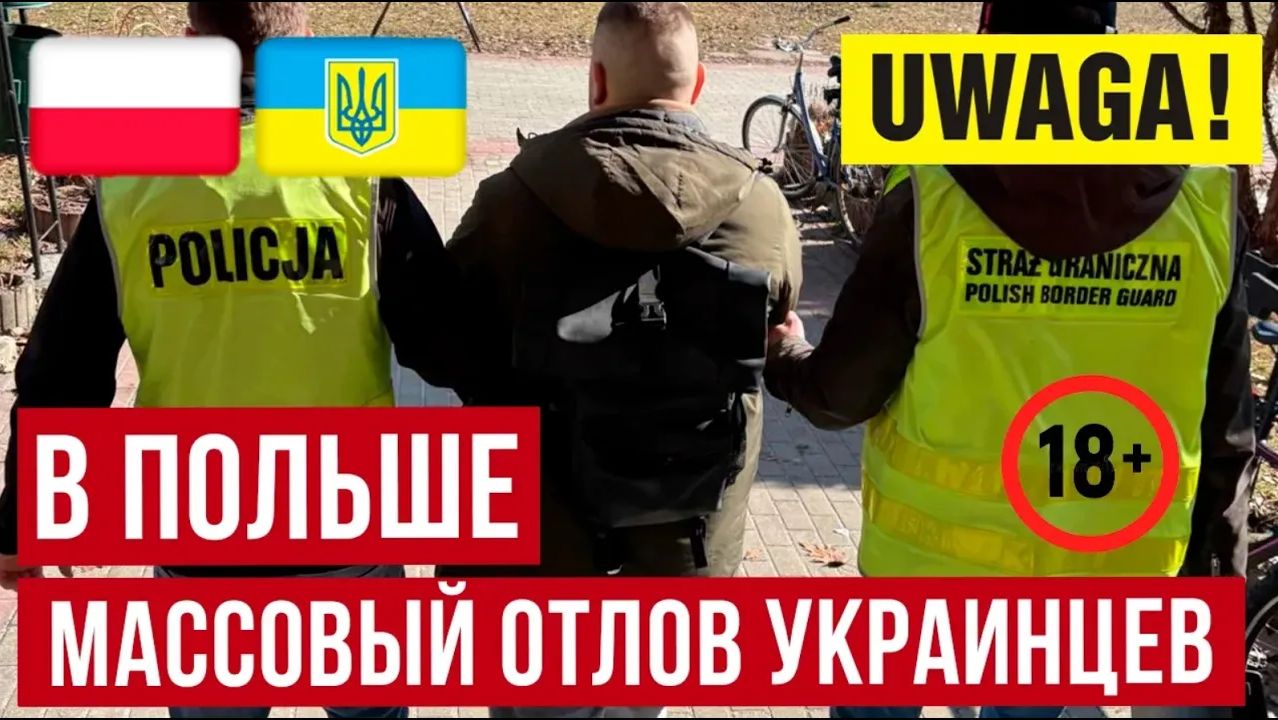 ЖЕСТЬ в Польше! Конвейер депортаций украинцев запущен! Что происходит Новости смотреть онлайн