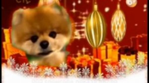 рекламный блок СТС 27.12.2016 Петссия Водская Ейск Свинясия Екатеринбург Канаш
