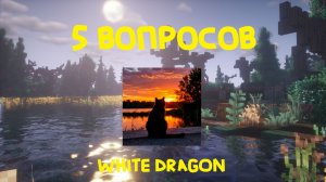 Я ЗАДАЛ 5 ВОПРОСОВ РУТУБЕРУ WHITE DRAGON! Dr1mx Minecraft